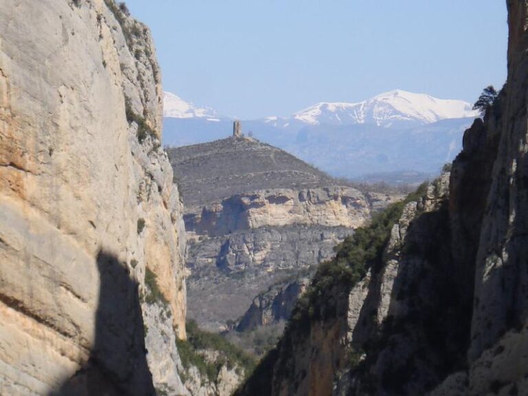 Congost. Mirada al Pirineu