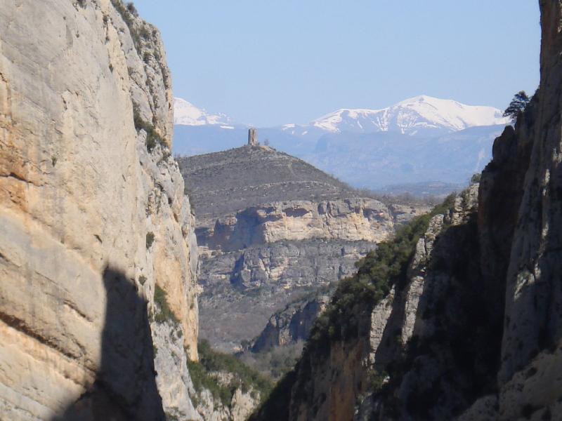 Congost. Mirada al Pirineu