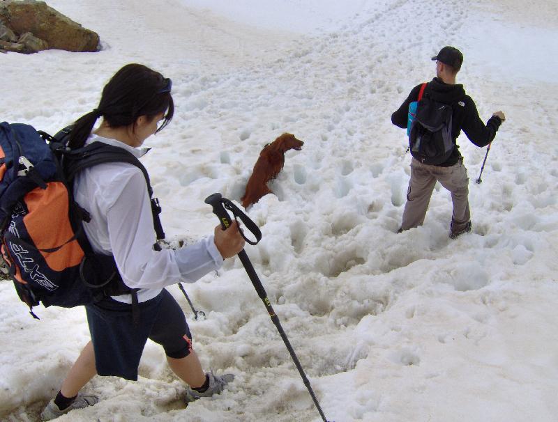 La neu pot ser divertida o complicada