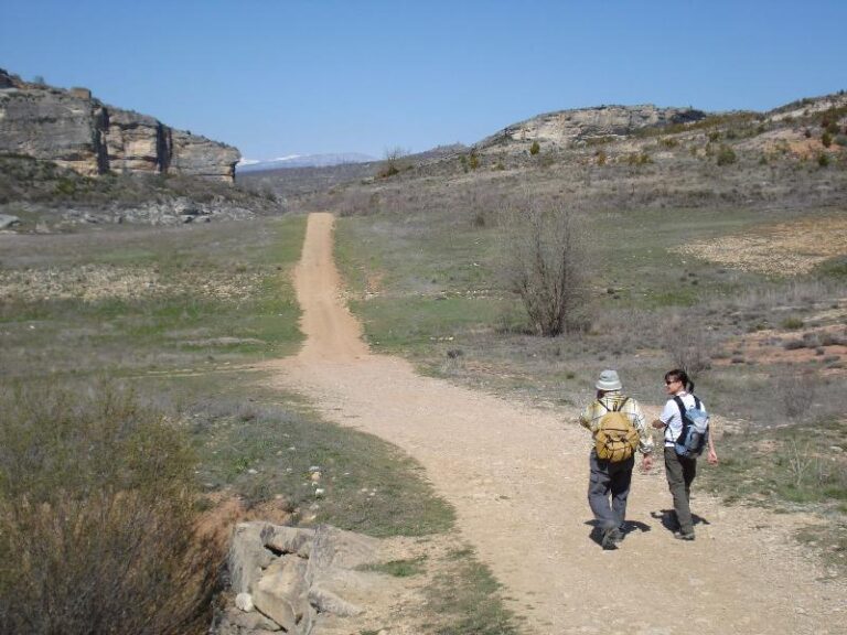 Arribant per cam? de baix