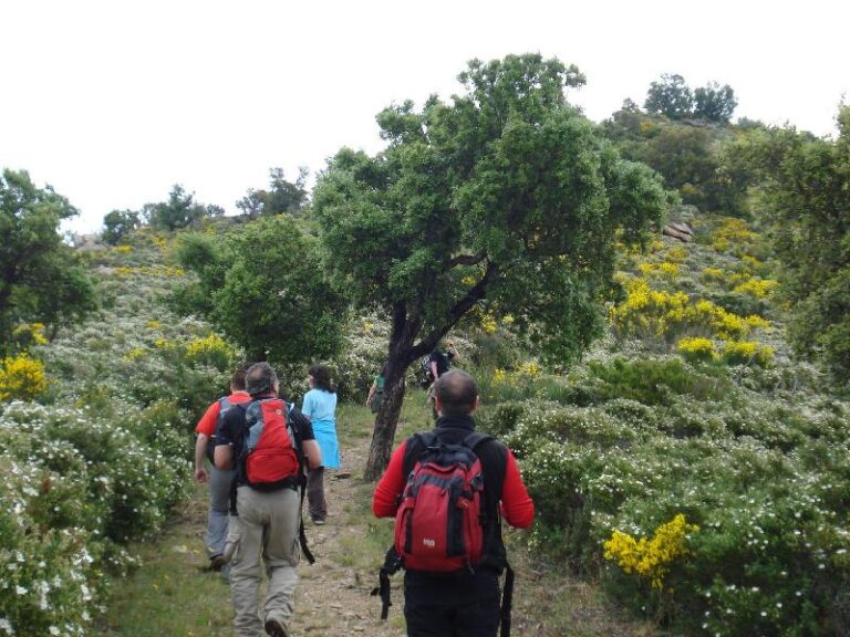 Bosc de flors i aromes