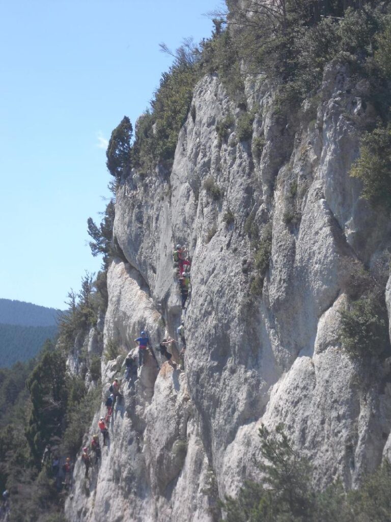 Dora fa fantastiques fotos del grup 2