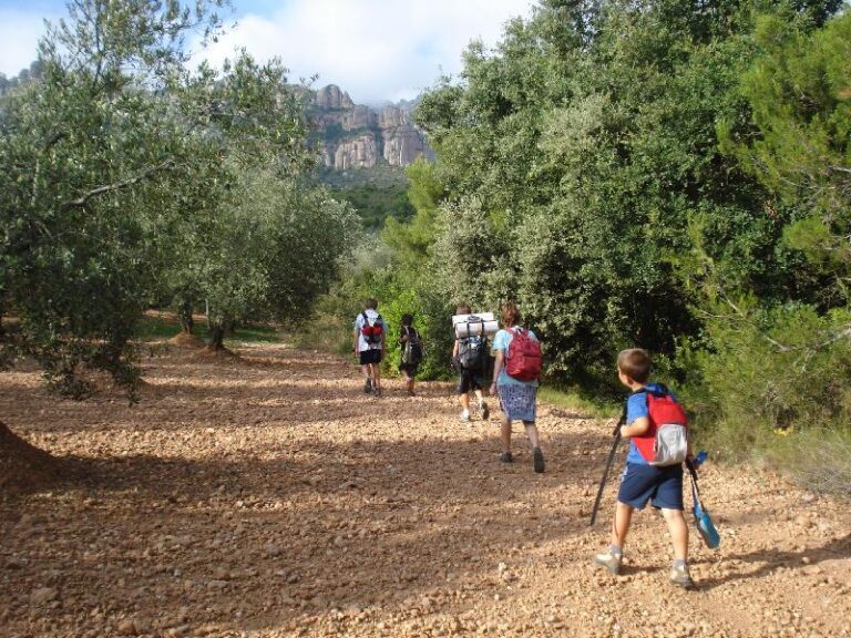 Inici de la caminada