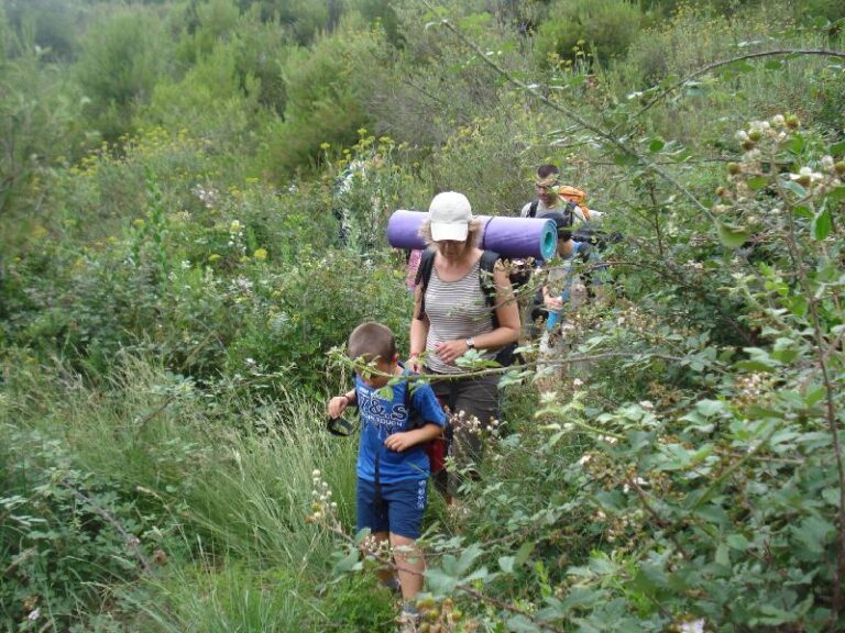 Cami amb molta vegetacio