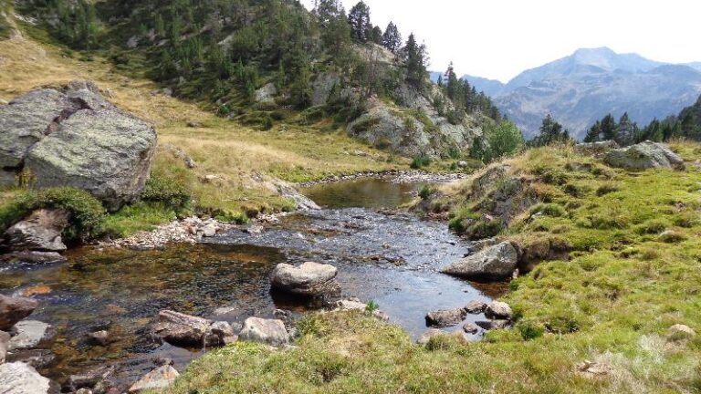 arribant als plans de sotllo