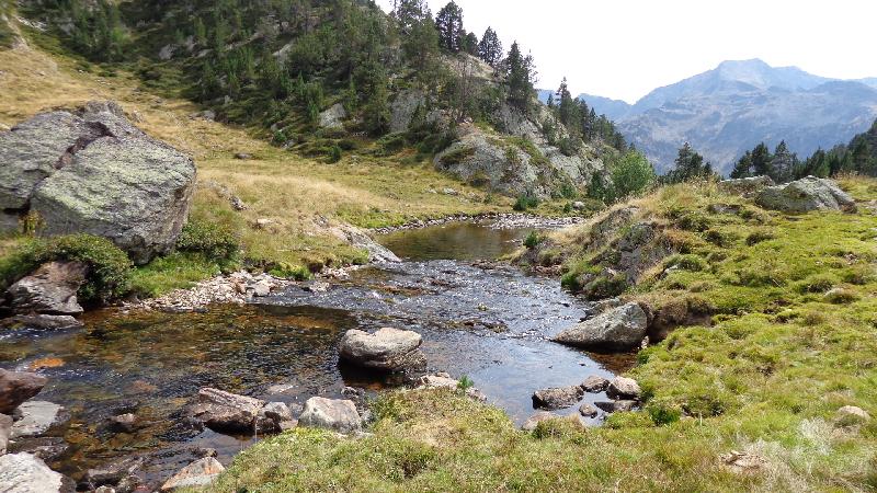 arribant als plans de sotllo