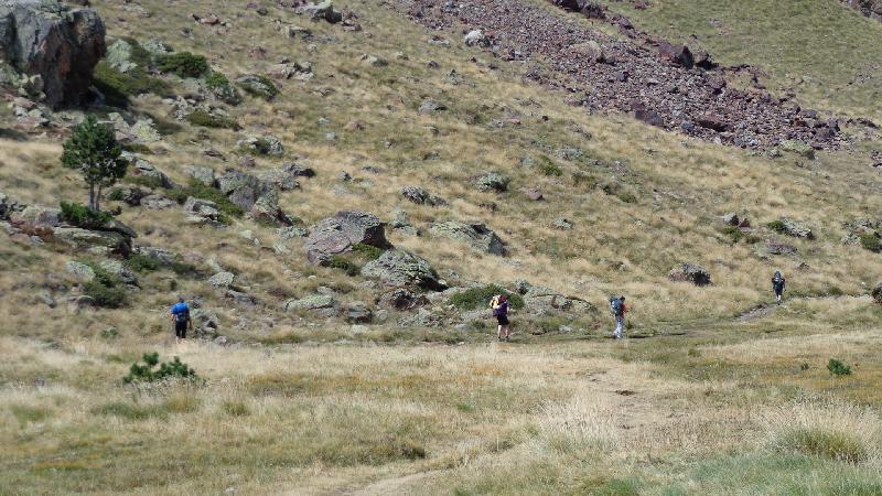 pels plans de sotllo