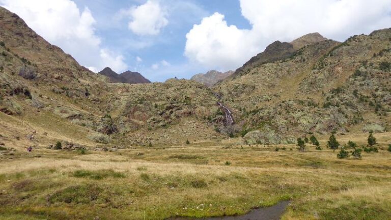 pels plans de sotllo