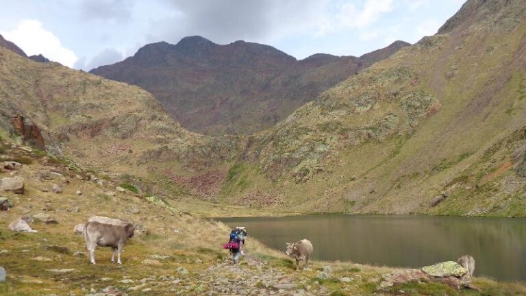estany de sotllo amb la pica