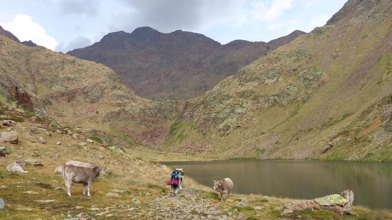 estany de sotllo amb la pica