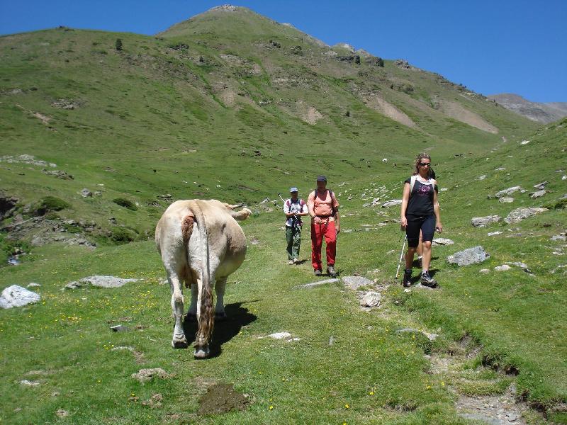 Baixada capa a Nuria 2