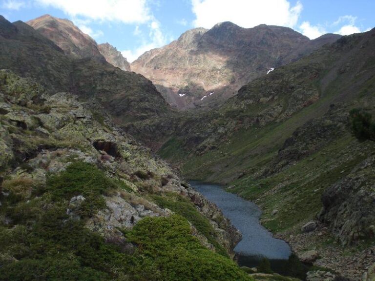 Primera visi? de la Pica