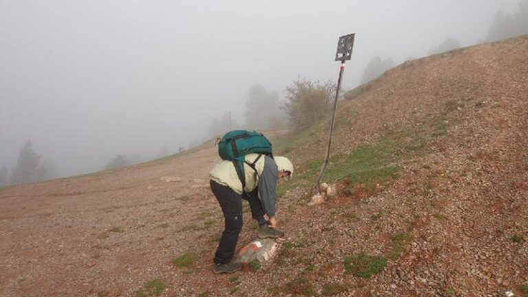 amb boira al coll de pendis