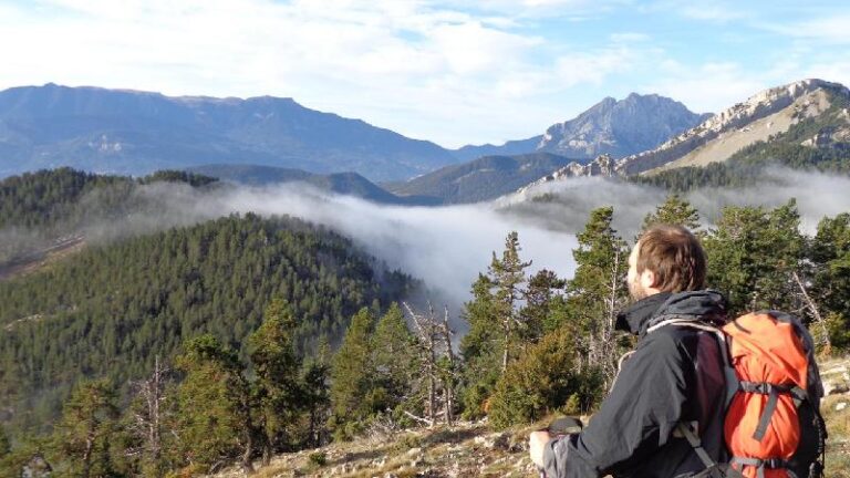 acompanyats pel pedraforca