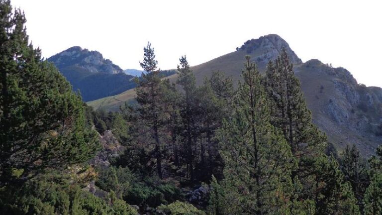 esquerra les penyes altes. dreta el moixero