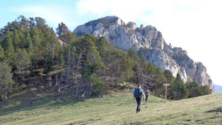 davant les penyes altes