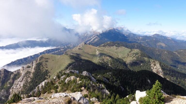 vista enrrera del cami fet