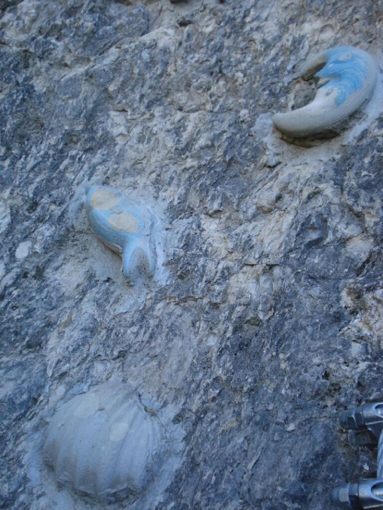 presses de inici de la teletubbies