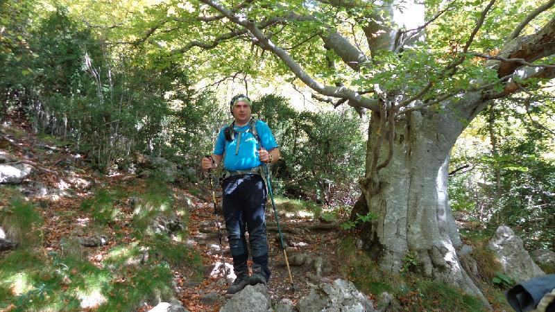 boscos de la canal de la serp