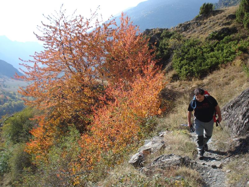 Els colors de la tardor