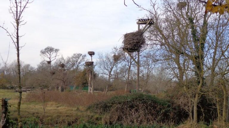 aiguamolls del emporda