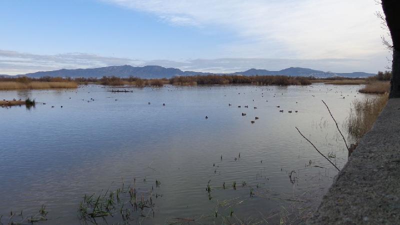 aiguamolls del emporda