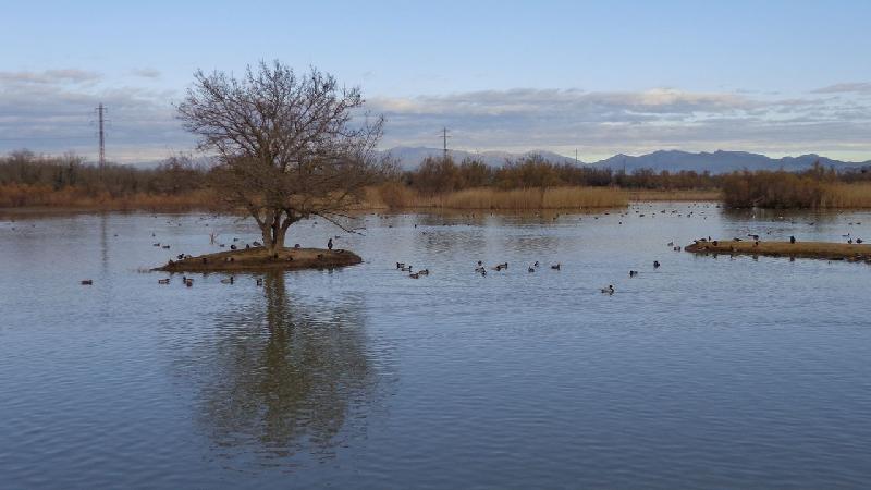 aiguamolls del emporda