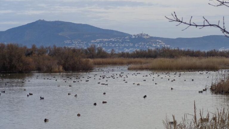 aiguamolls del emporda