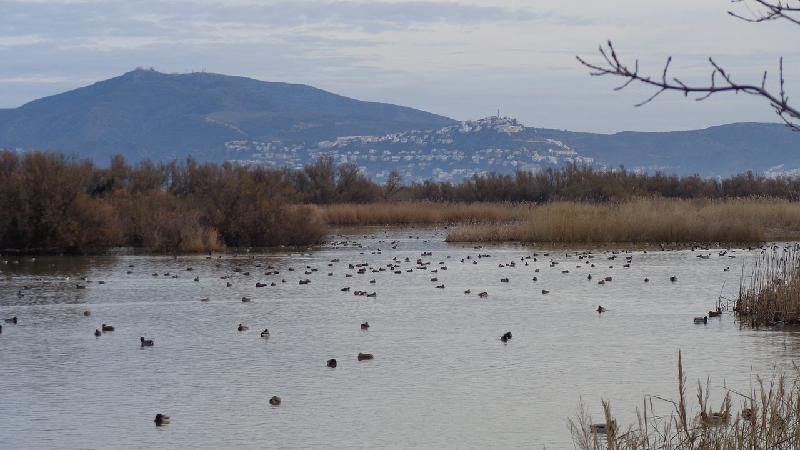aiguamolls del emporda