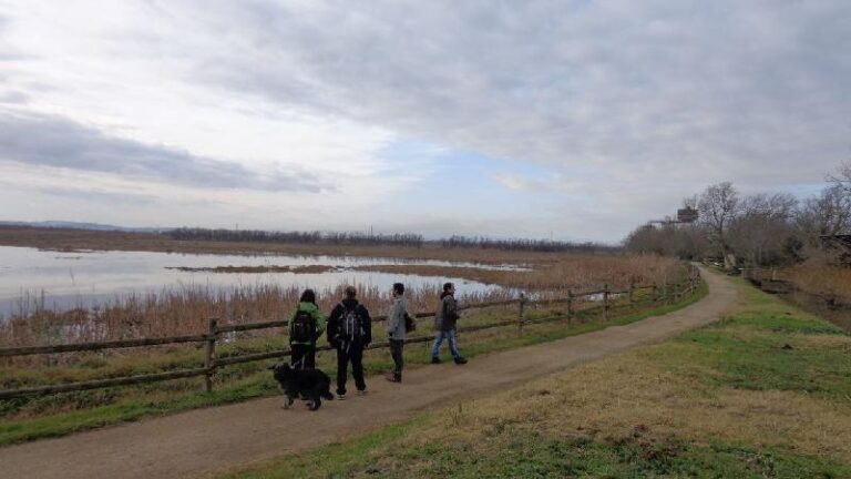 aiguamolls del emporda