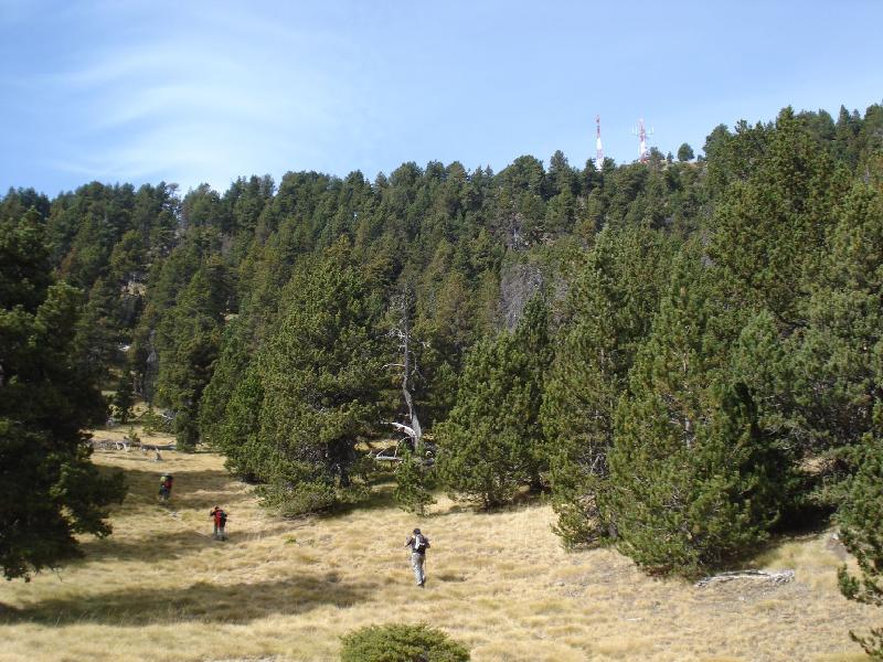 Arribant al Coll de Caubo