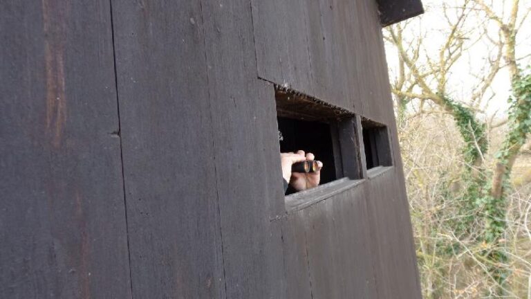 aiguamolls del emporda