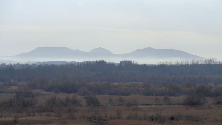 aiguamolls del emporda