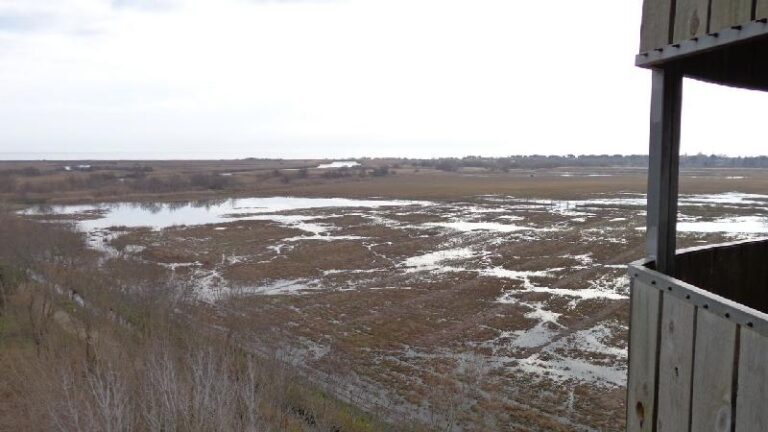 aiguamolls del emporda