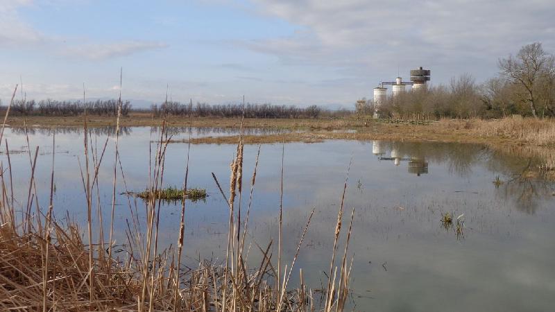 aiguamolls del emporda
