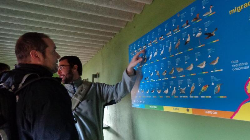 aiguamolls del emporda