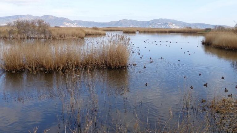 aiguamolls del emporda