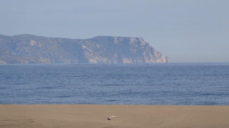 aiguamolls del emporda