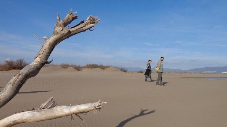 aiguamolls del emporda