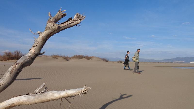 aiguamolls del emporda