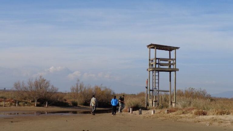 aiguamolls del emporda