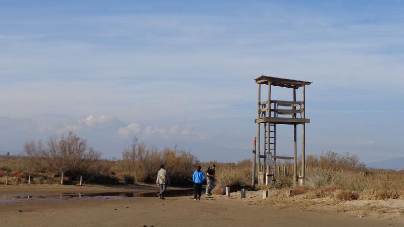 aiguamolls del emporda