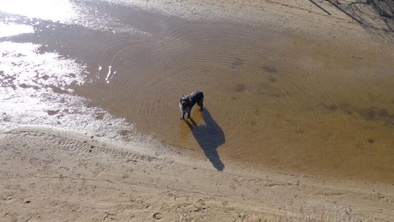 aiguamolls del emporda