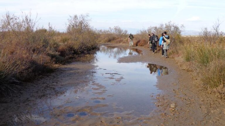 aiguamolls del emporda