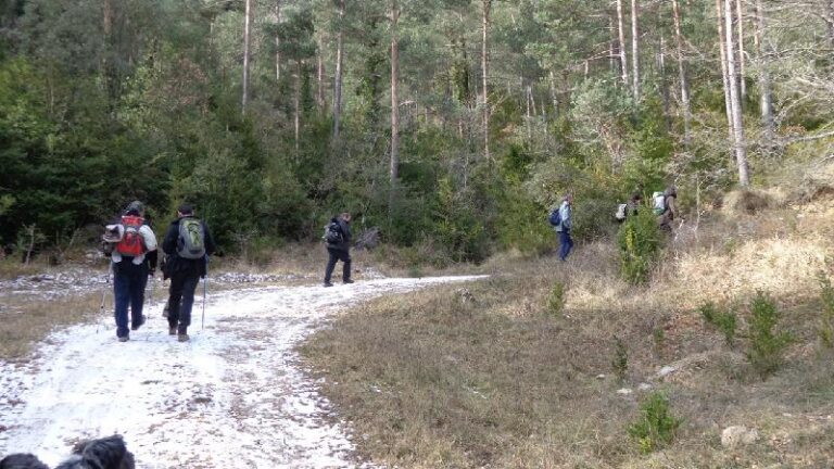 trepitjant neu cami al Castell de Roset