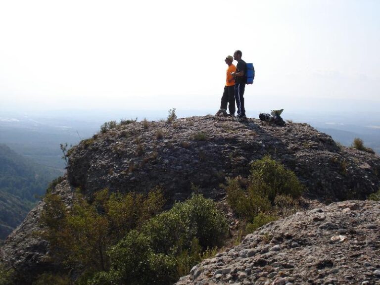observant el cami fet