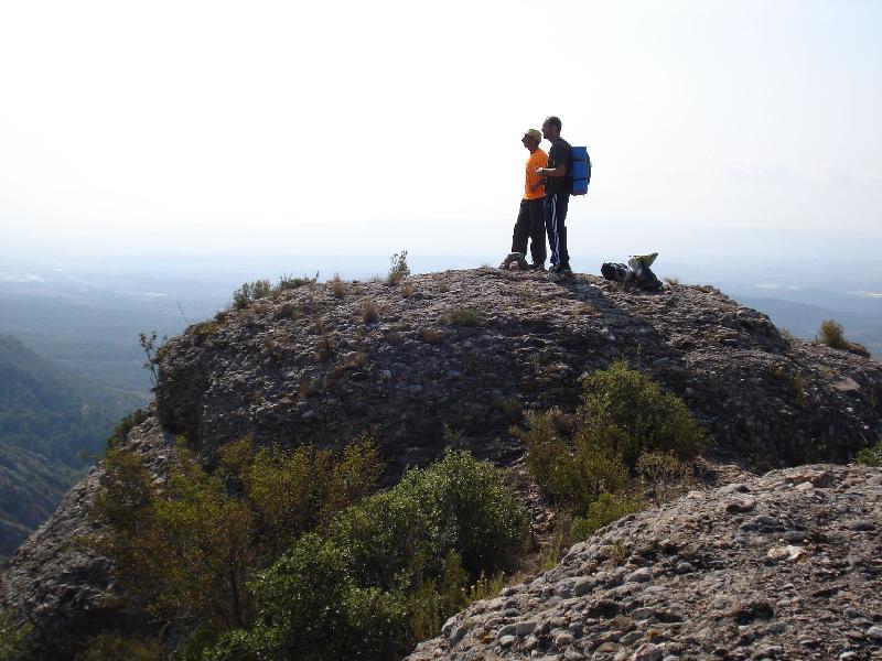 observant el cami fet
