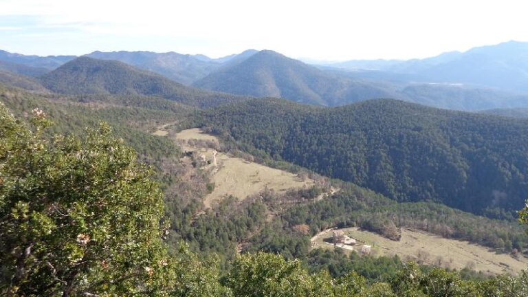 vista des del castell
