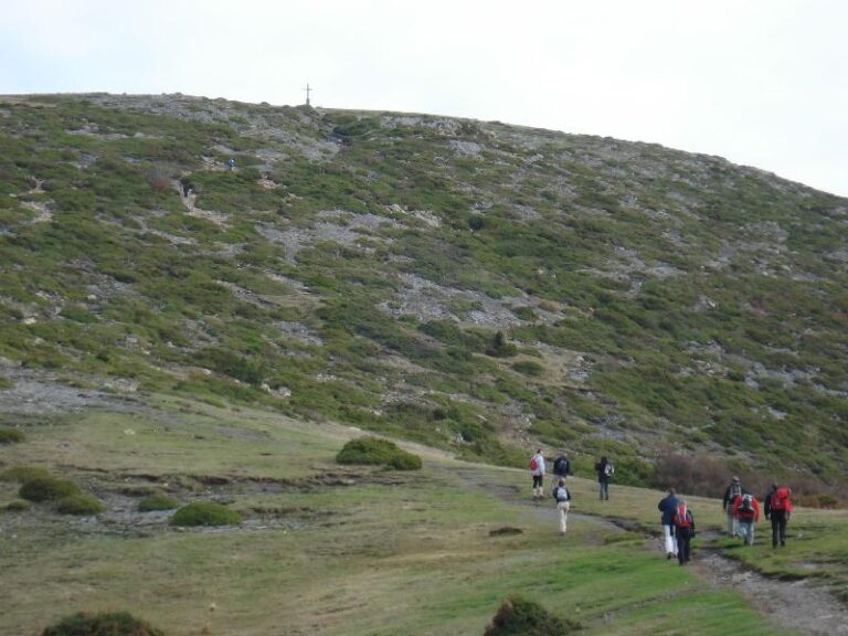 Arribant al Collet dels Llops