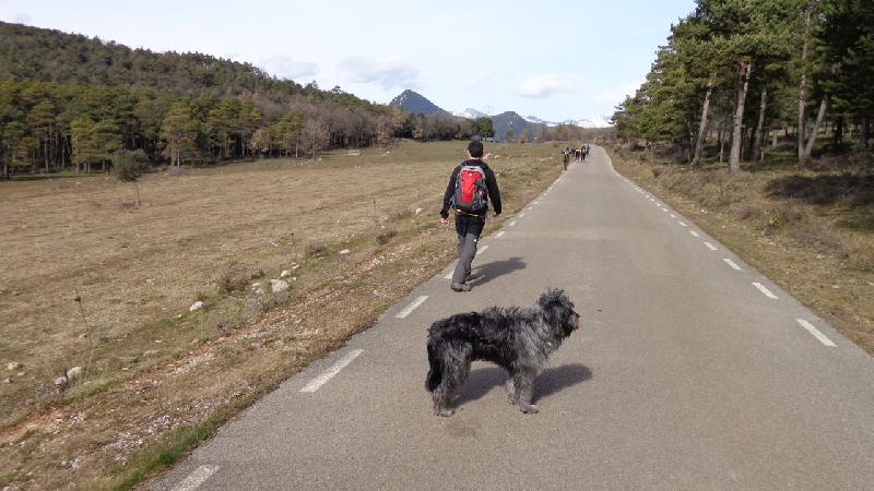 Caminant pel Pla de Clara